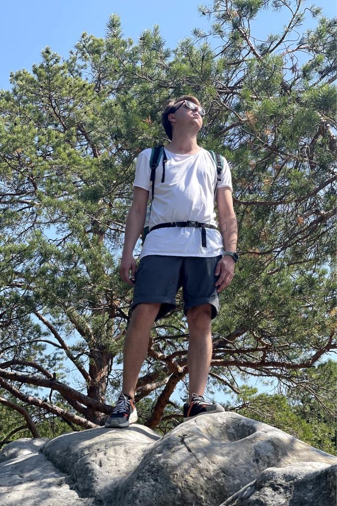 InterCode developers building robust and scalable software architecture